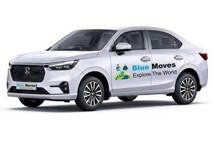 Economy Fleets Blue Moves